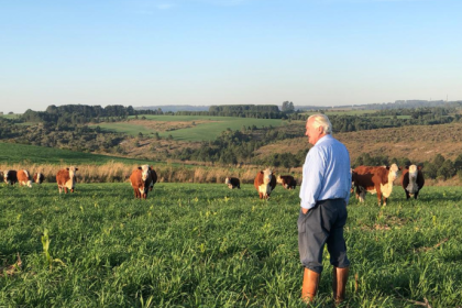Aldo Vendramin mostra como a exportação de genética fortalece a internacionalização do Cavalo Crioulo.